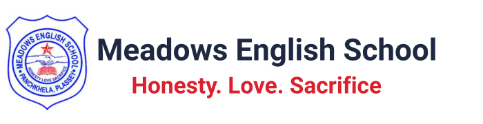 Meadows English School